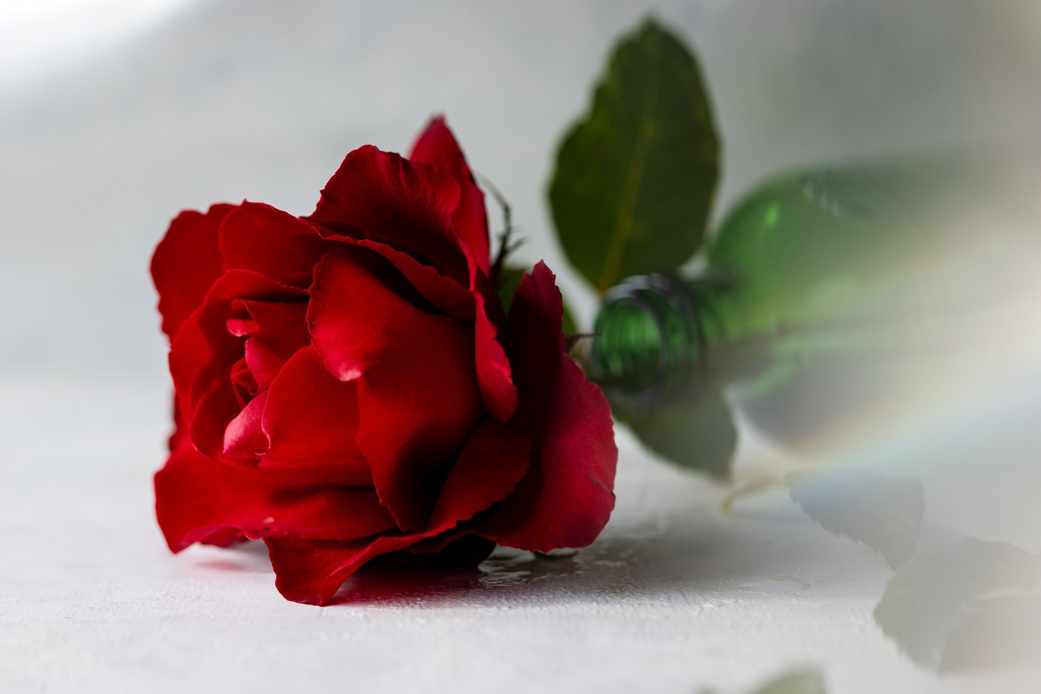 About me. Author’s fine art prints with international delivery