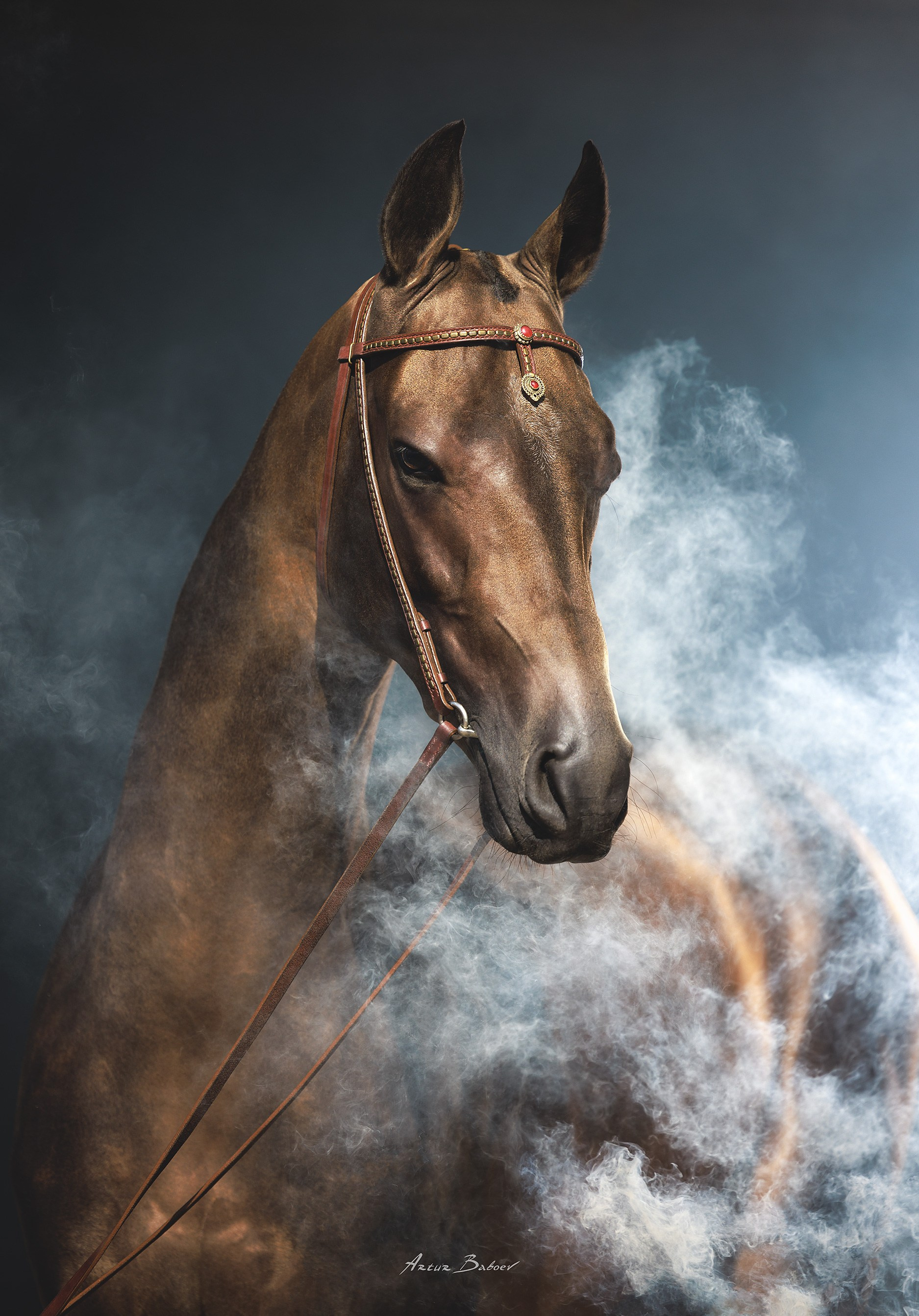Art photos of horses — ARTUR BABOEV | Photographer