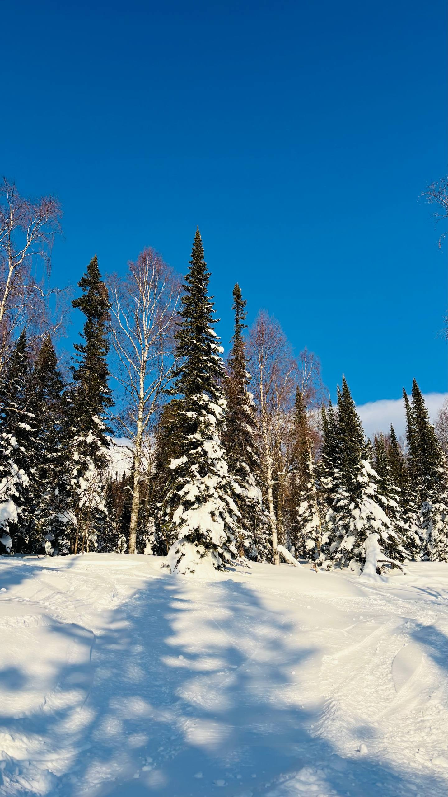 ШЕРЕГЕШ. Фотограф Наташа Лисица