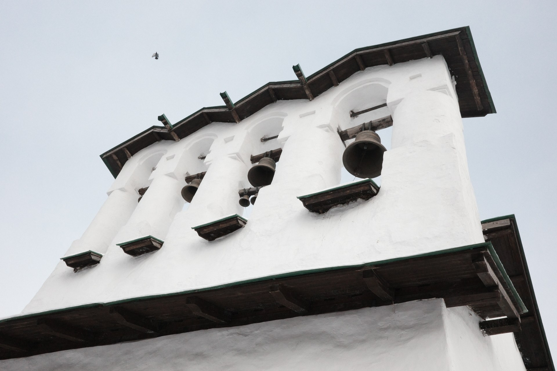 Псков. Фотографъ Сергѣевъ. Поймать мгновеніе