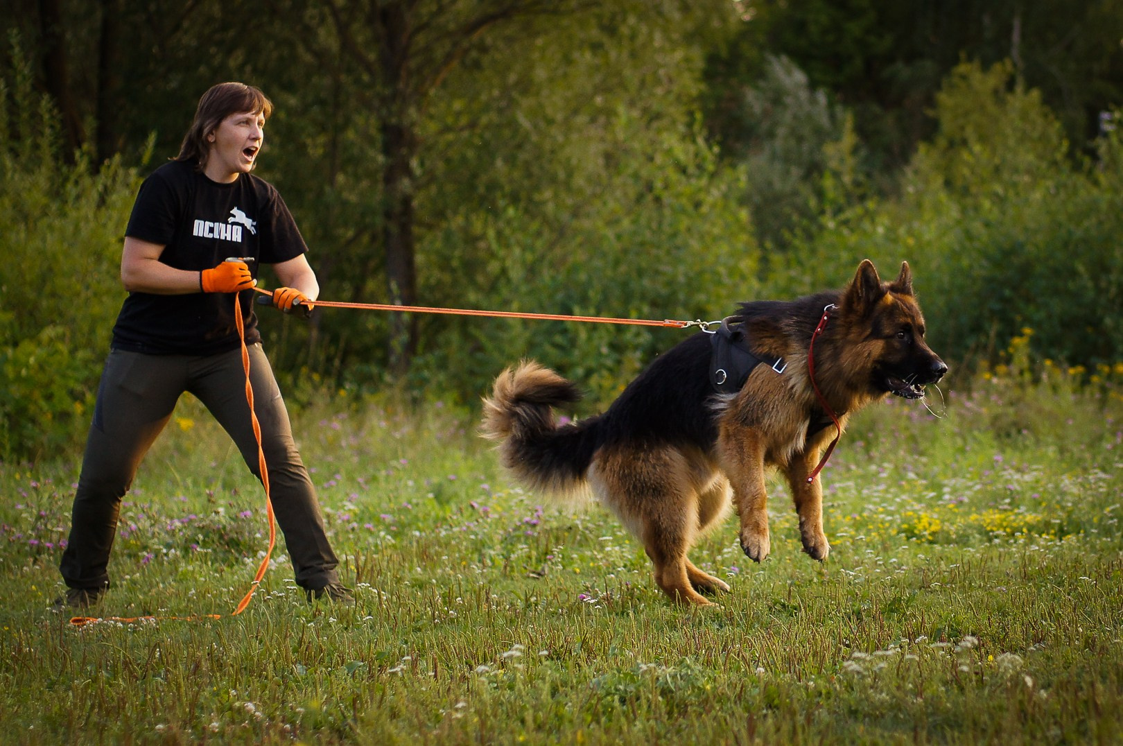 Репортажная съемка. Фотограф-анималист Нижний Новгород