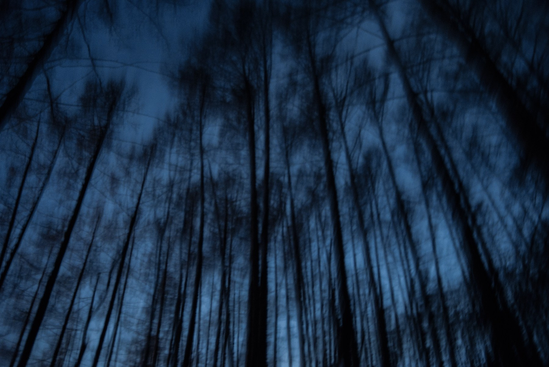 Фотожурналистика. Дарья Пянзина | фотограф |междисциплинарная художница