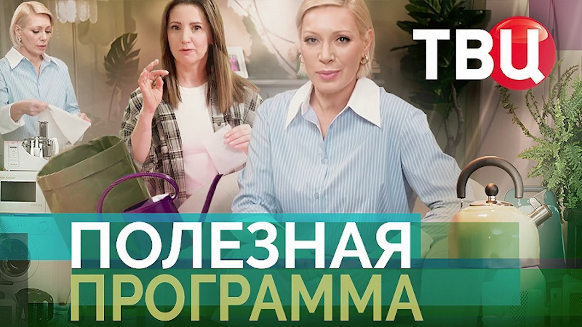 Тв-шоу