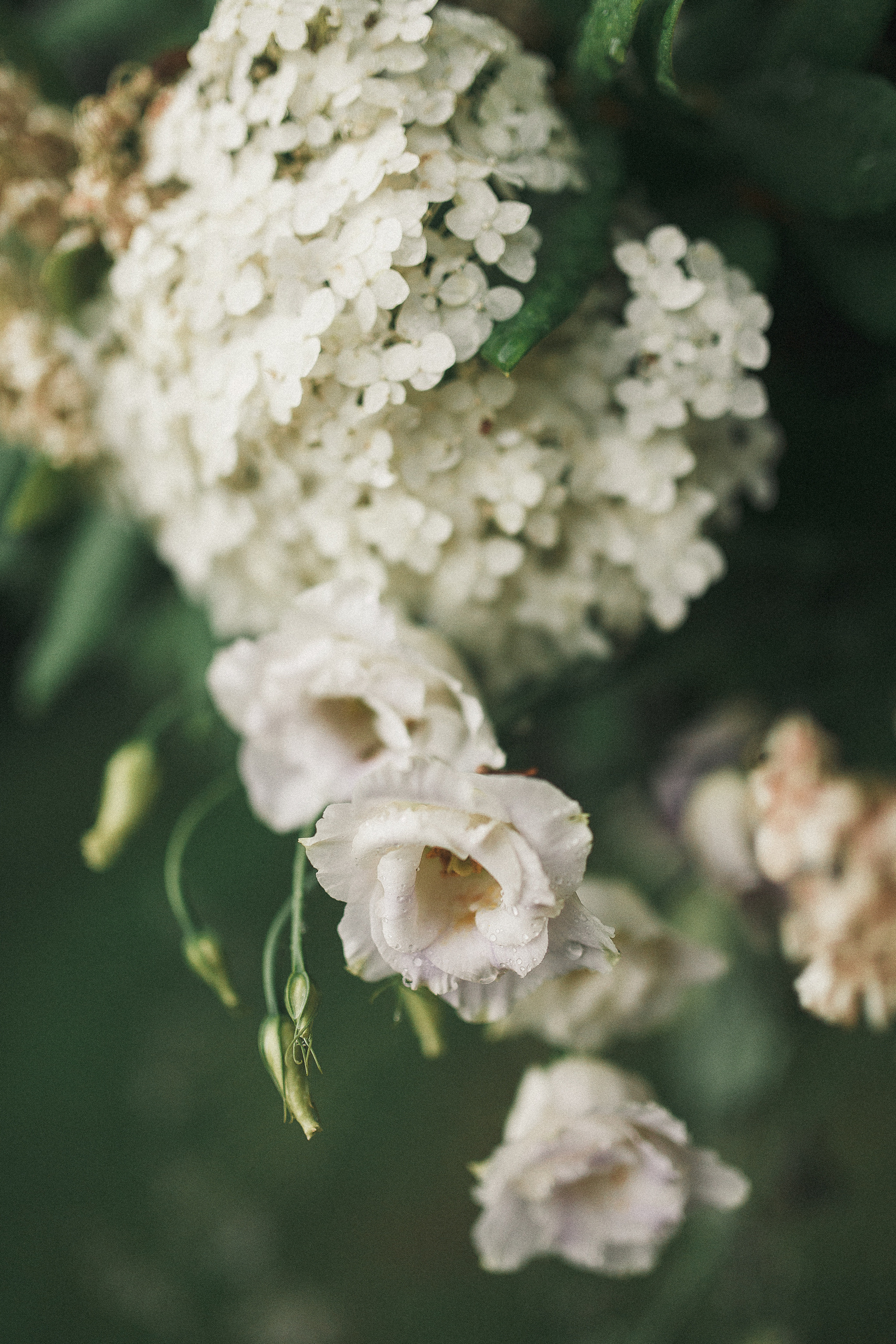 Свадебный и семейный фотограф Александр Беляков