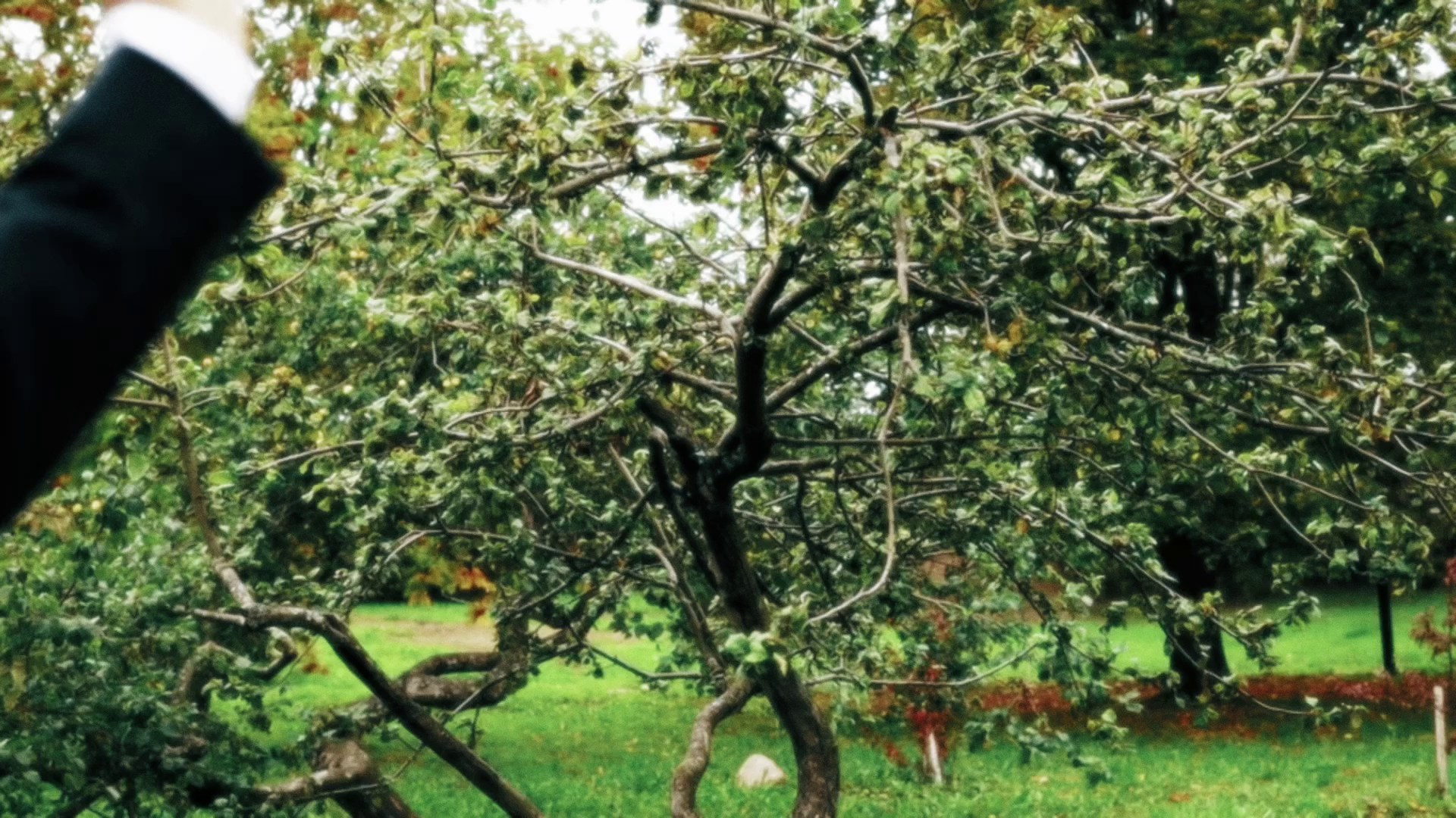 Видеосъемка. Фотограф Петрозаводск/СПБ