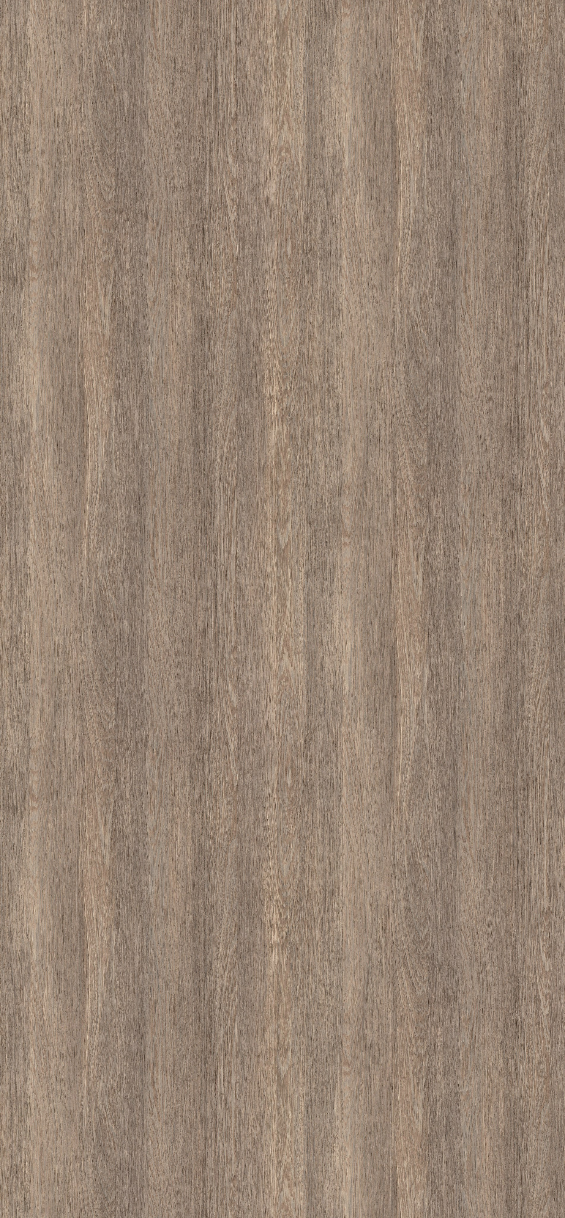 EGGER. Главная