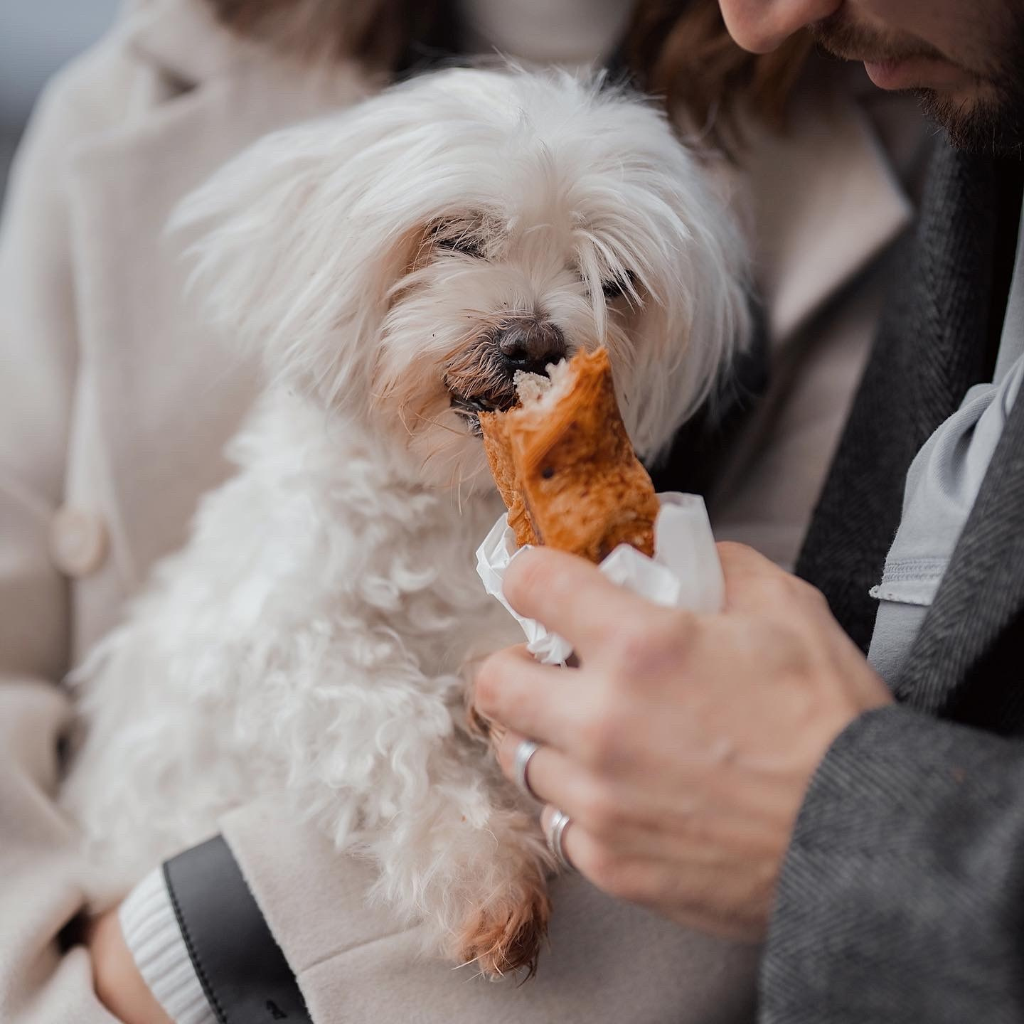 Фотограф Яна Яркая