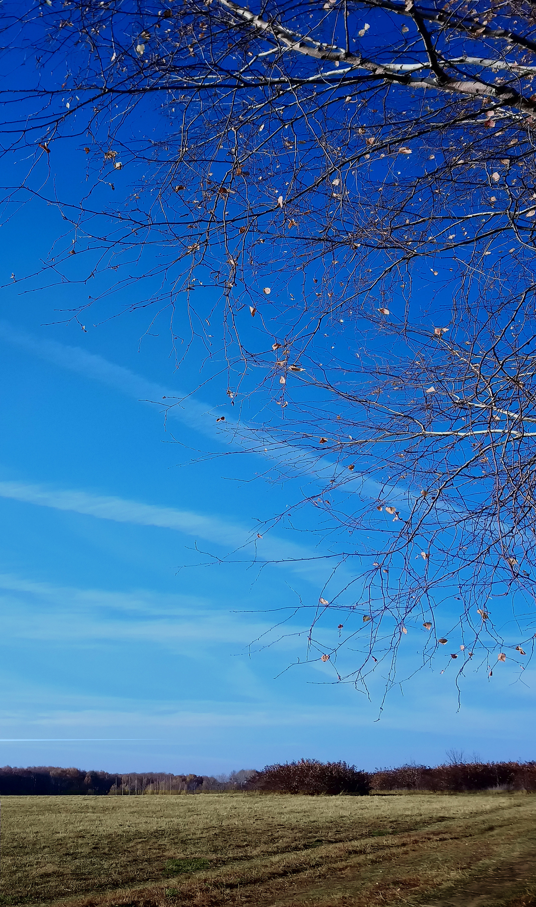 Фотохудожник в Москве Виктория Лаврова Искусство авторской фотографии для Вас