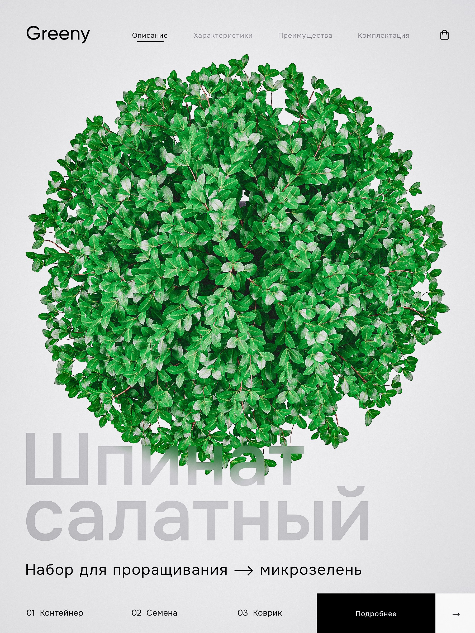 Шпинат салатный