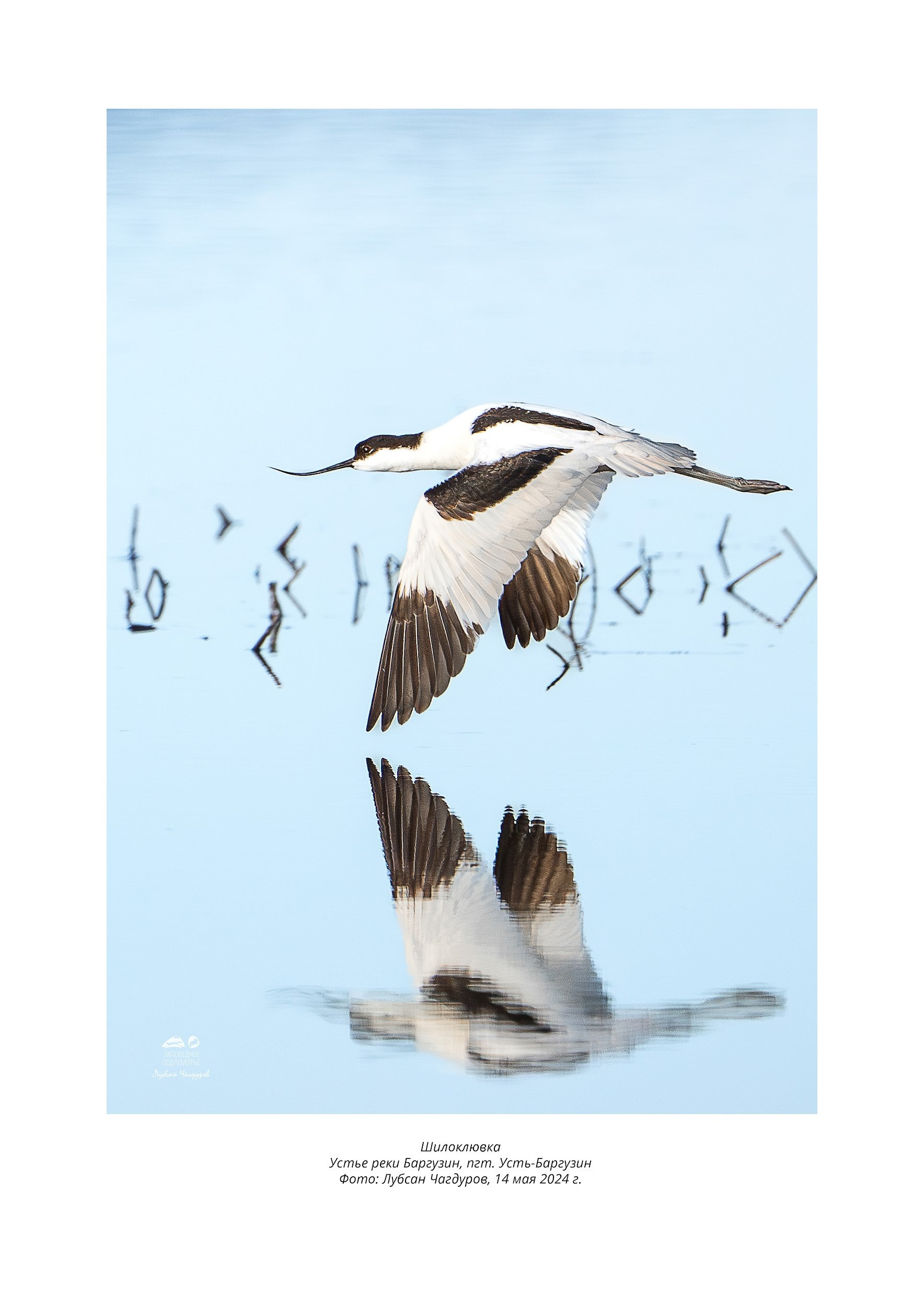 Фотограф Лубсан Чагдуров