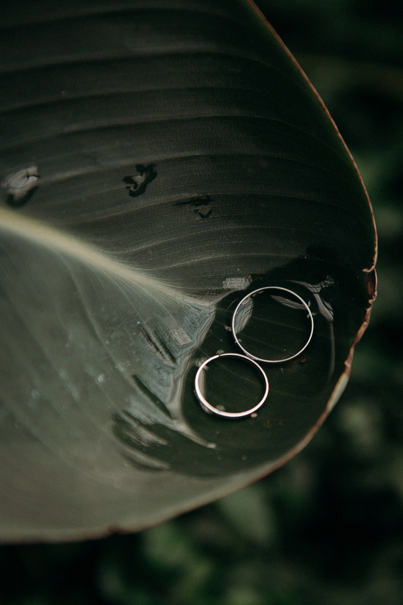 закрытые места для свадебной фотосессии в дождь, осенью или зимой