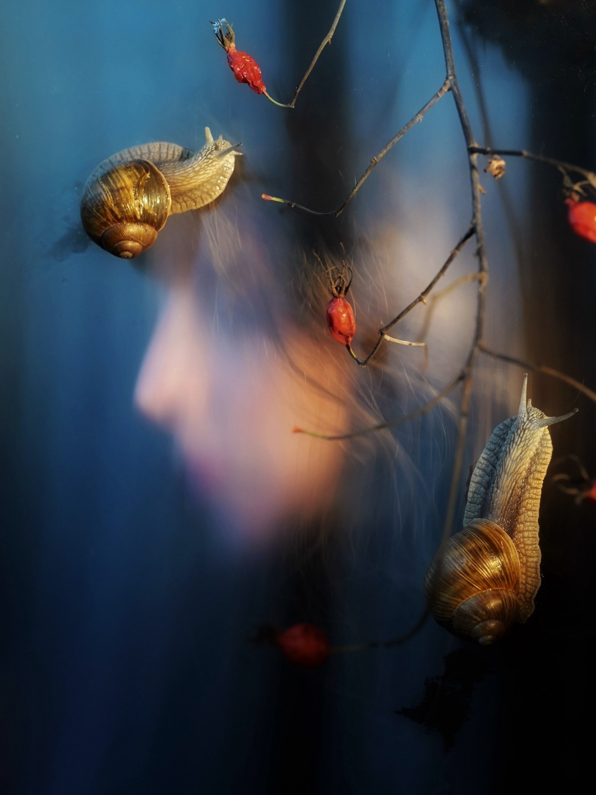 Алена Лучинина