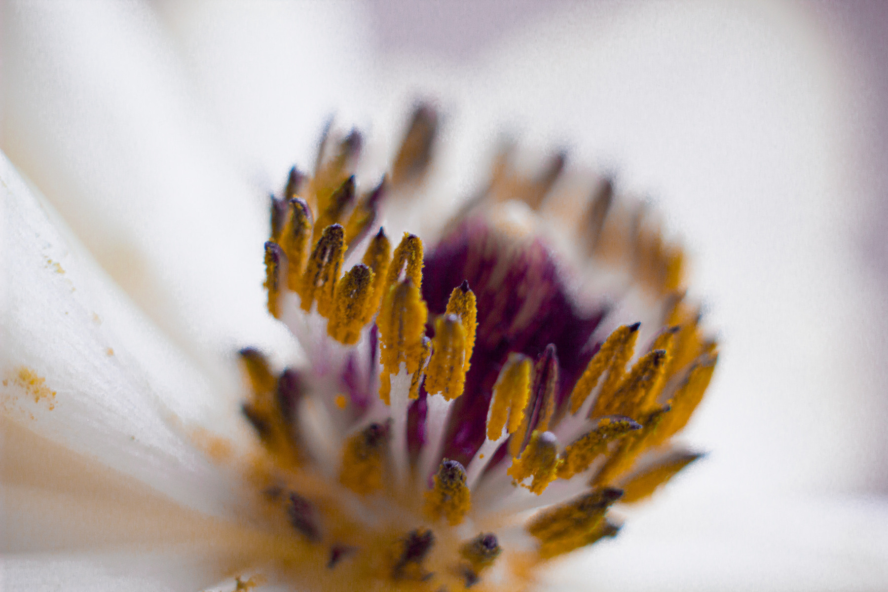 Контакты. Фотограф и видеограф в Ставрополе Инна Попова