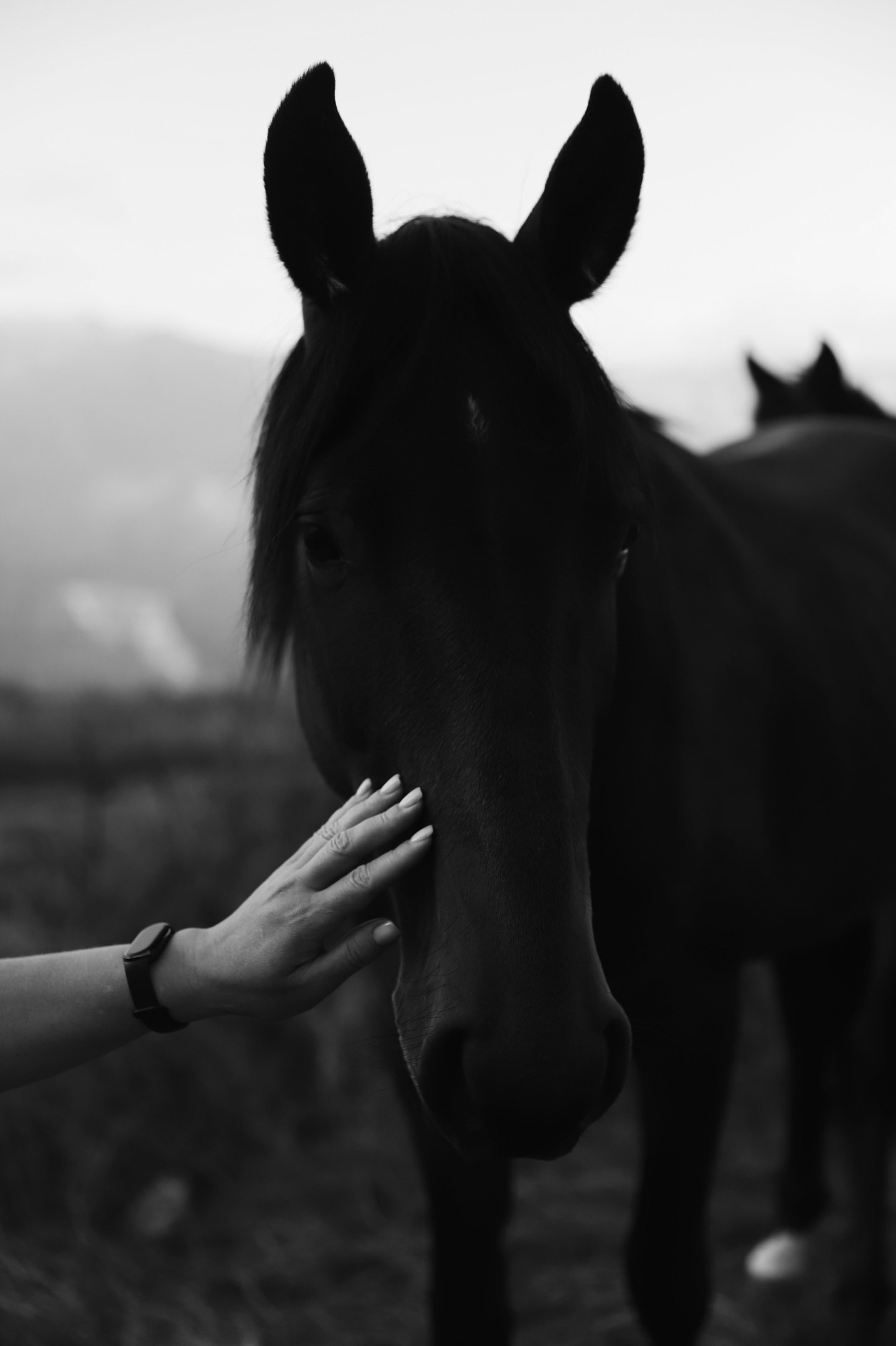 Фотограф Полина Крупская