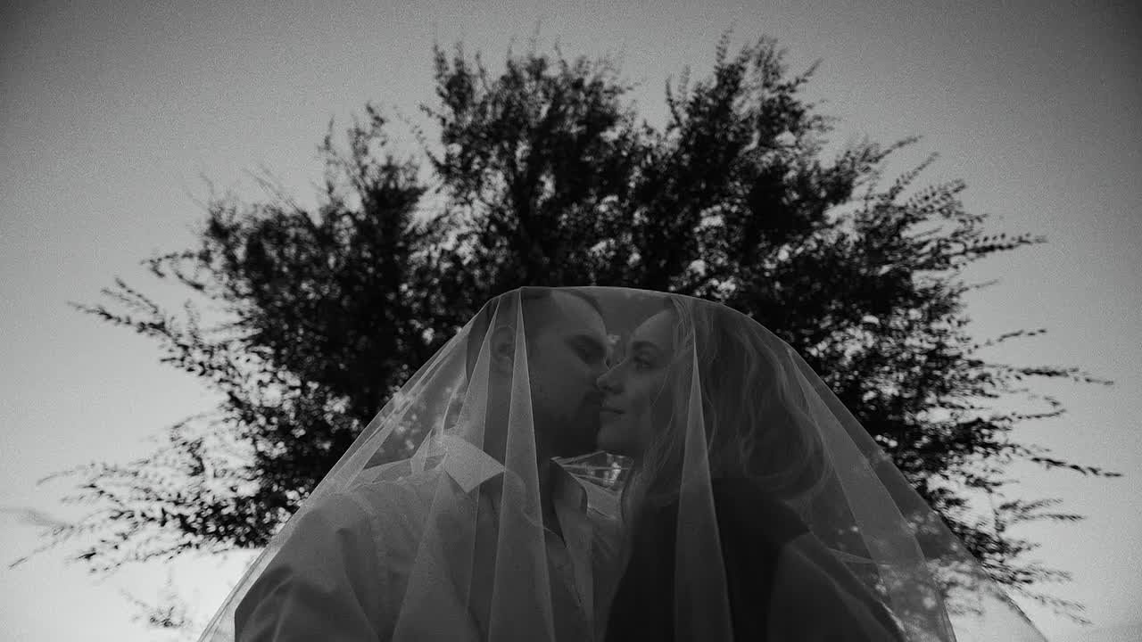 Свадьбы. Свадебный и семейный видеограф в Тольятти и Самаре Владимир Махнычев