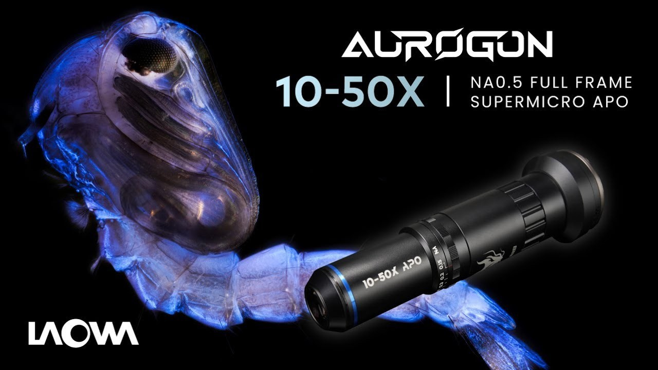 Набор макрообъективов LAOWA серии Aurogon. Фотограф — видеограф в Москве Дмитрий Менделеев