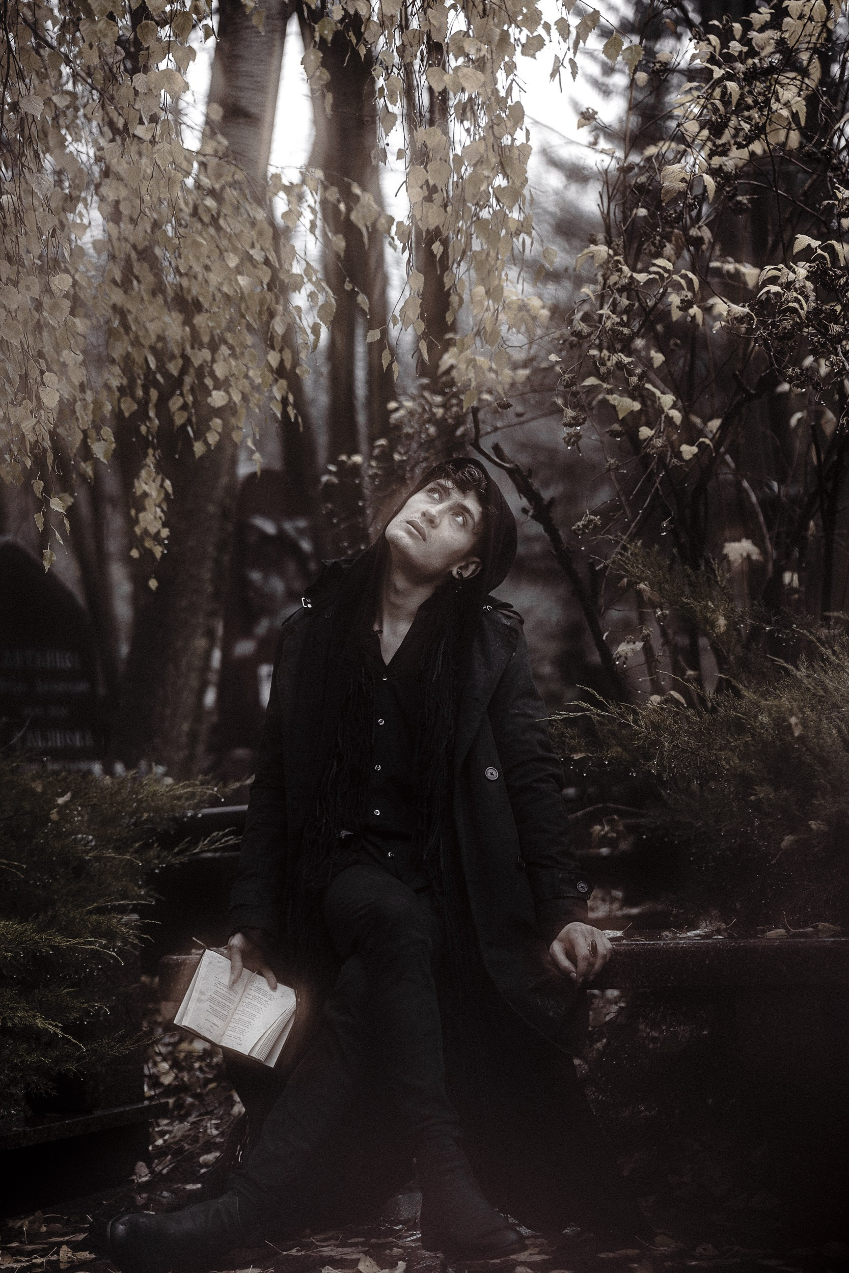 Услуги. Концертный и портретный фотограф Москва и Санкт-Петербург