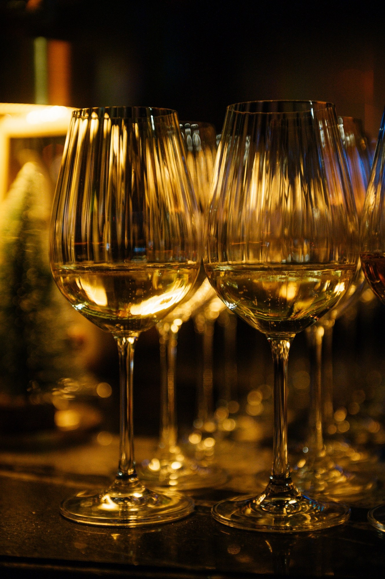 Отзывы. Сайт фотографа Данилы Пащенко