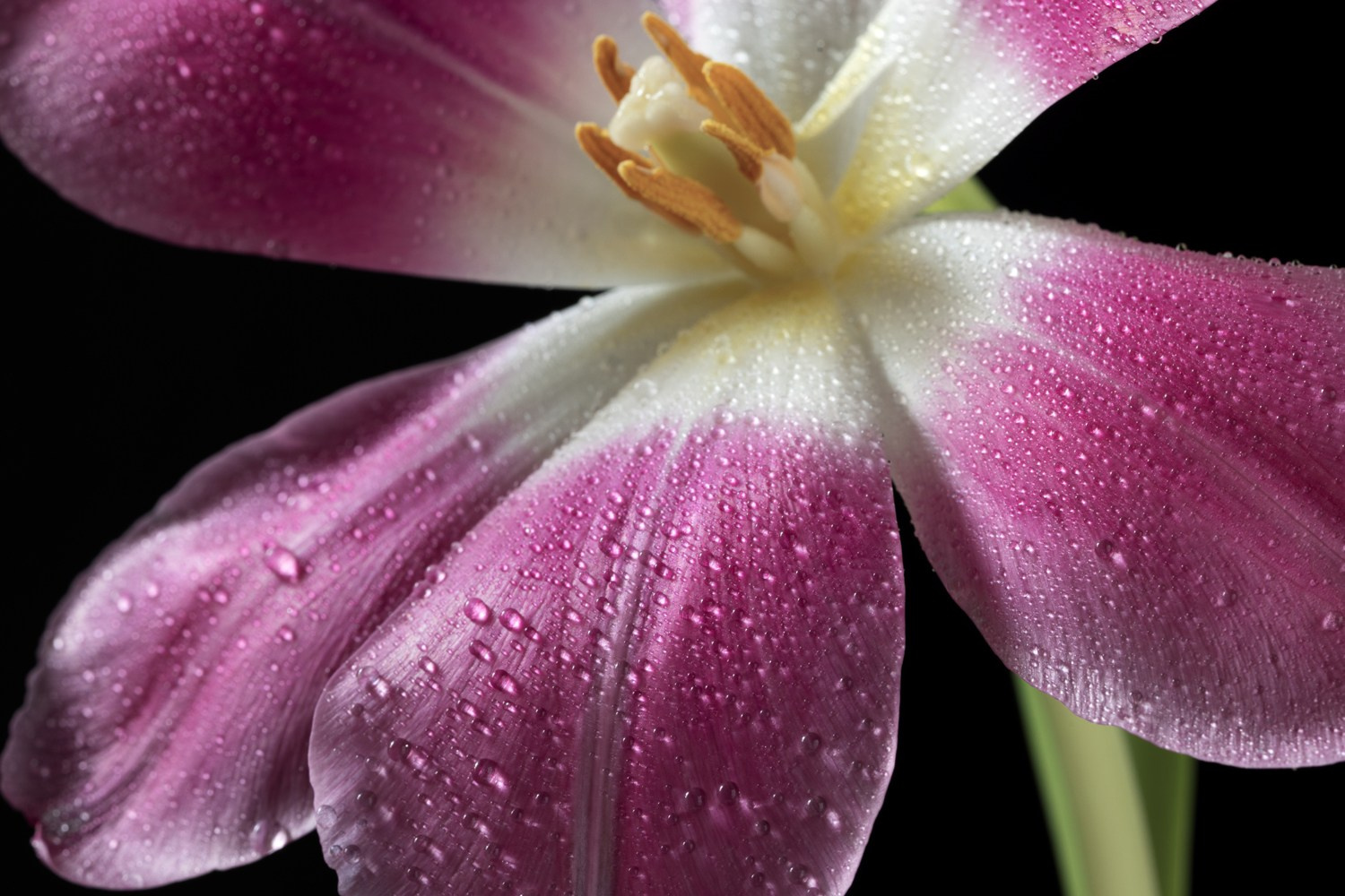 About me. Author’s fine art prints with international delivery