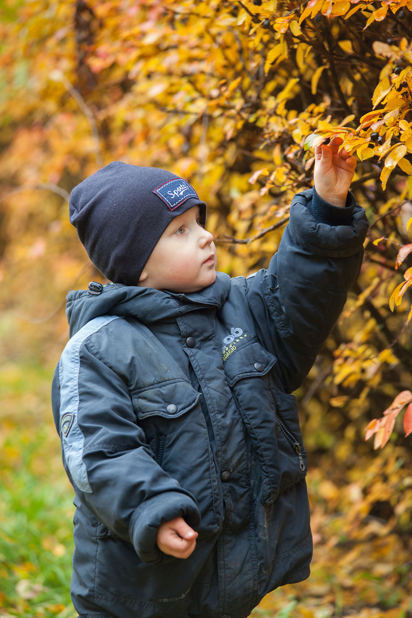 Фотосессия в детском саду