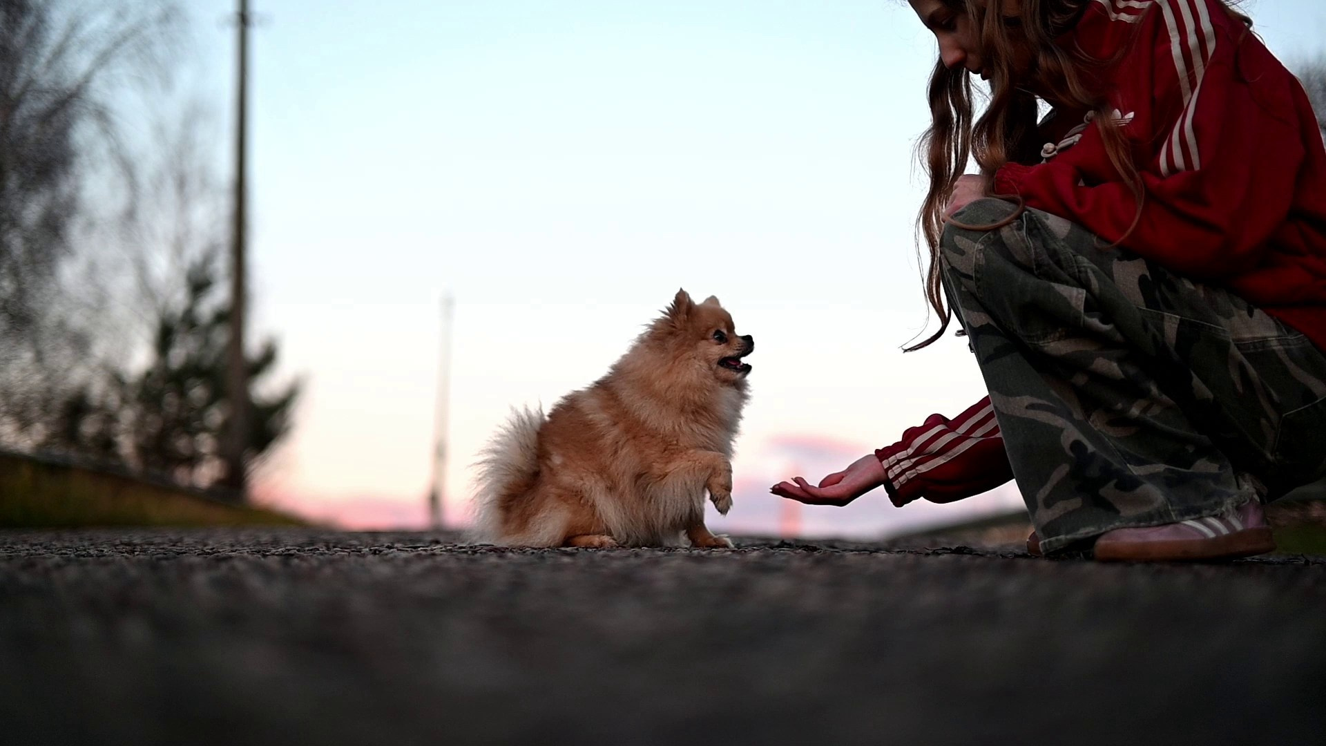 Фотограф — анималист RISHELL PHOTO