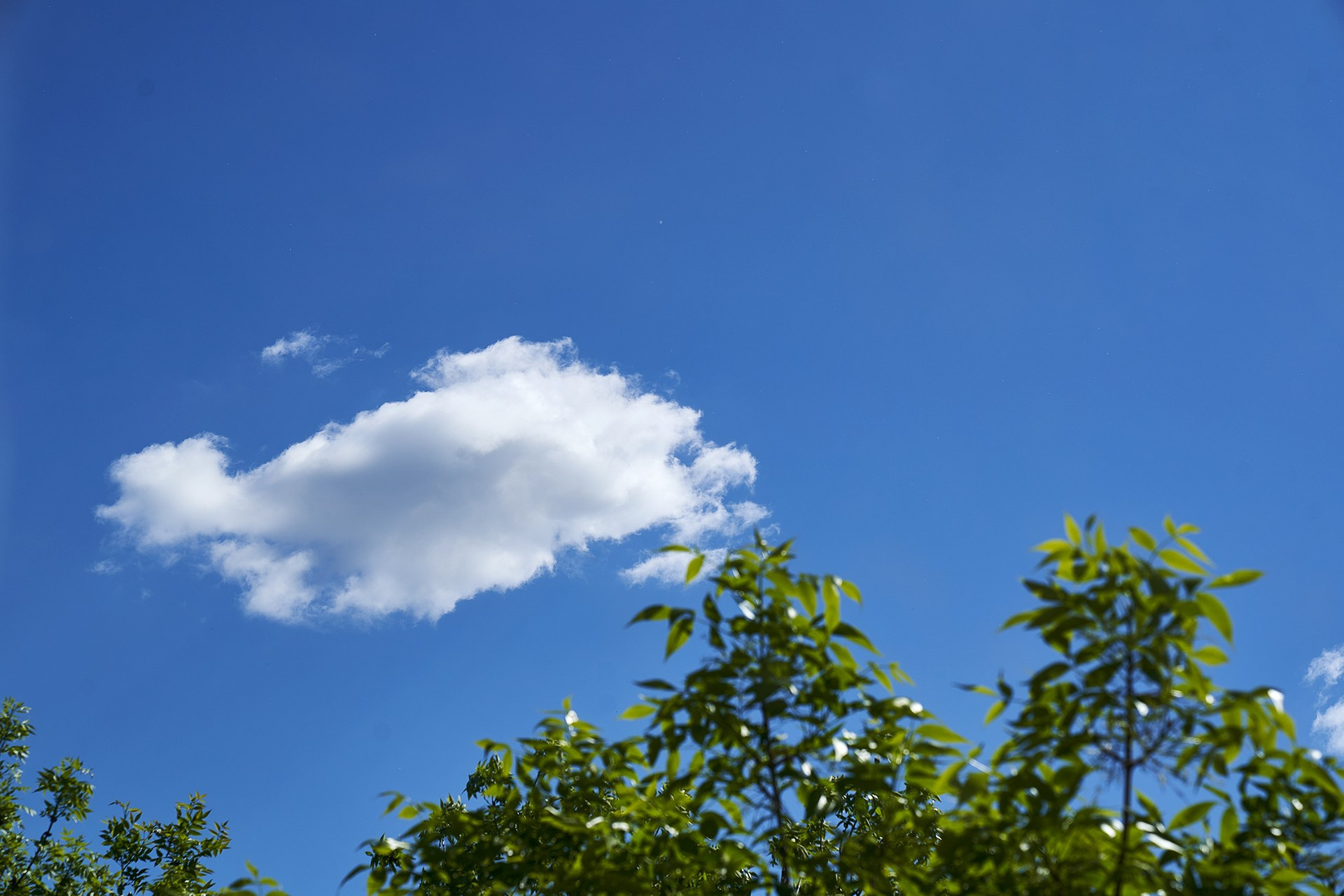 Фотограф Евгений Шаров