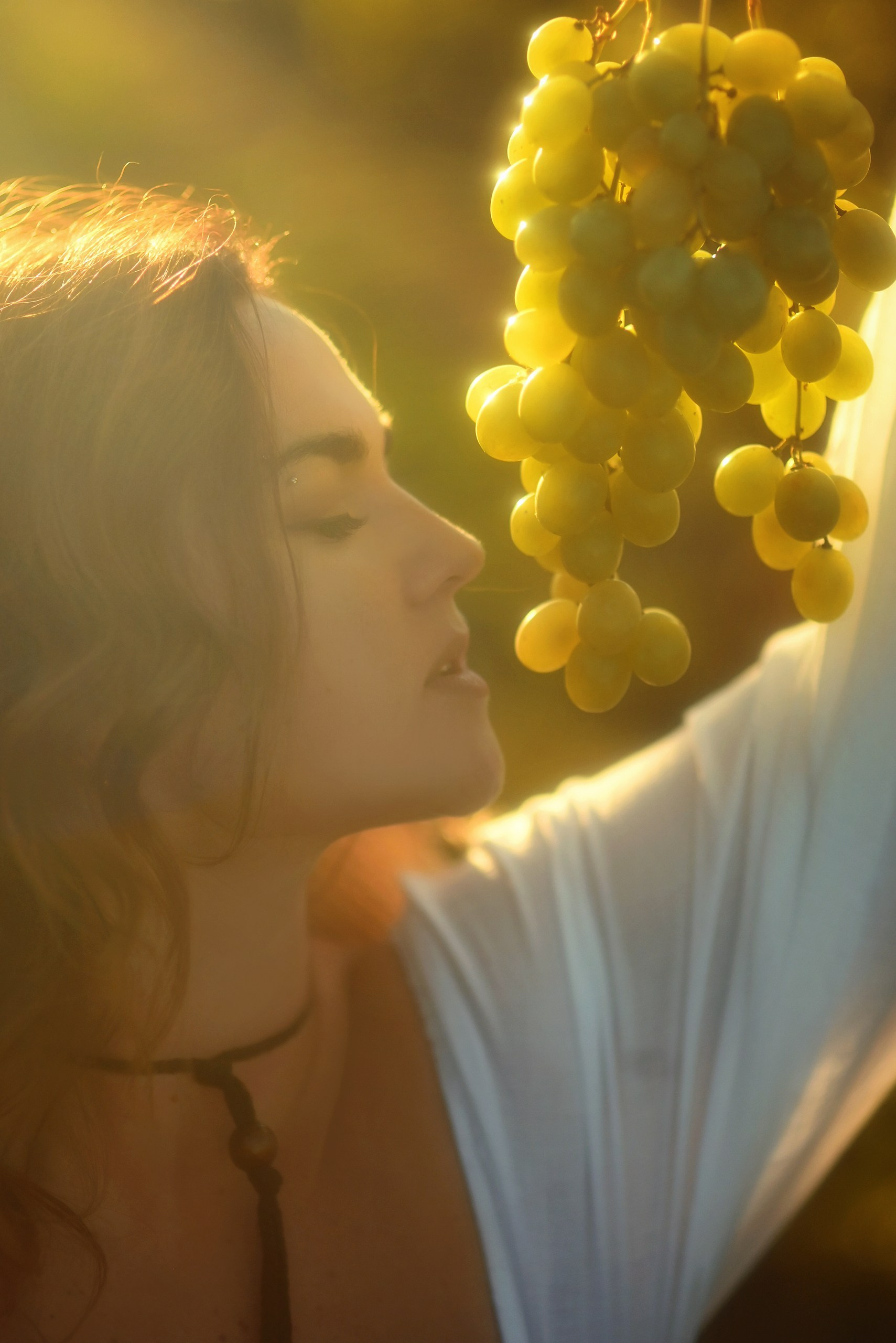 🍁 Séances Photo d’Automne dans les Vignobles de Provence. Photographer in Provence Julia Lipiainen