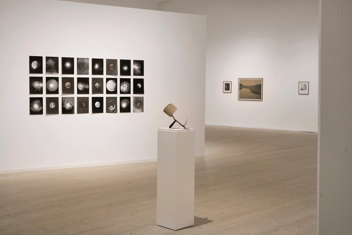 ИНТЕРВЬЮ С АВТОРАМИ: Maja Daniels. Самоорганизация Низина