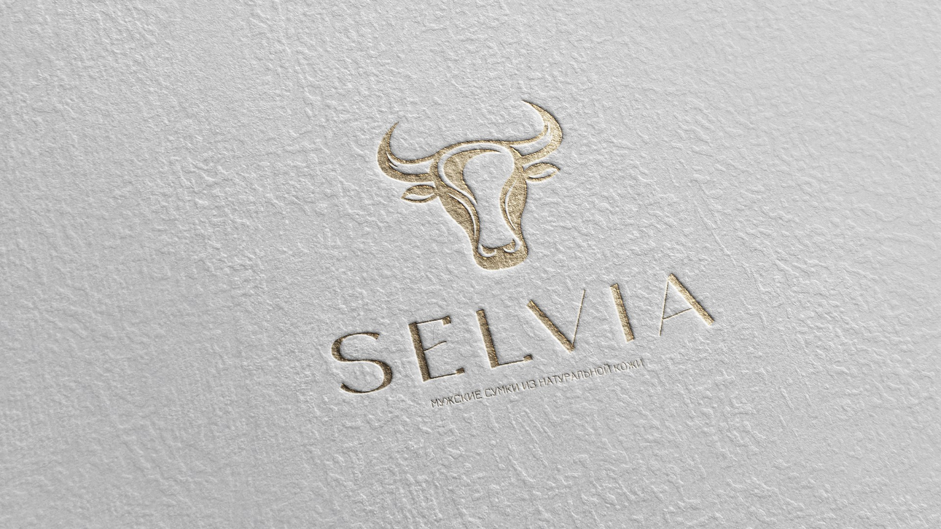 ANNSOUL — графический и brand — дизайнер