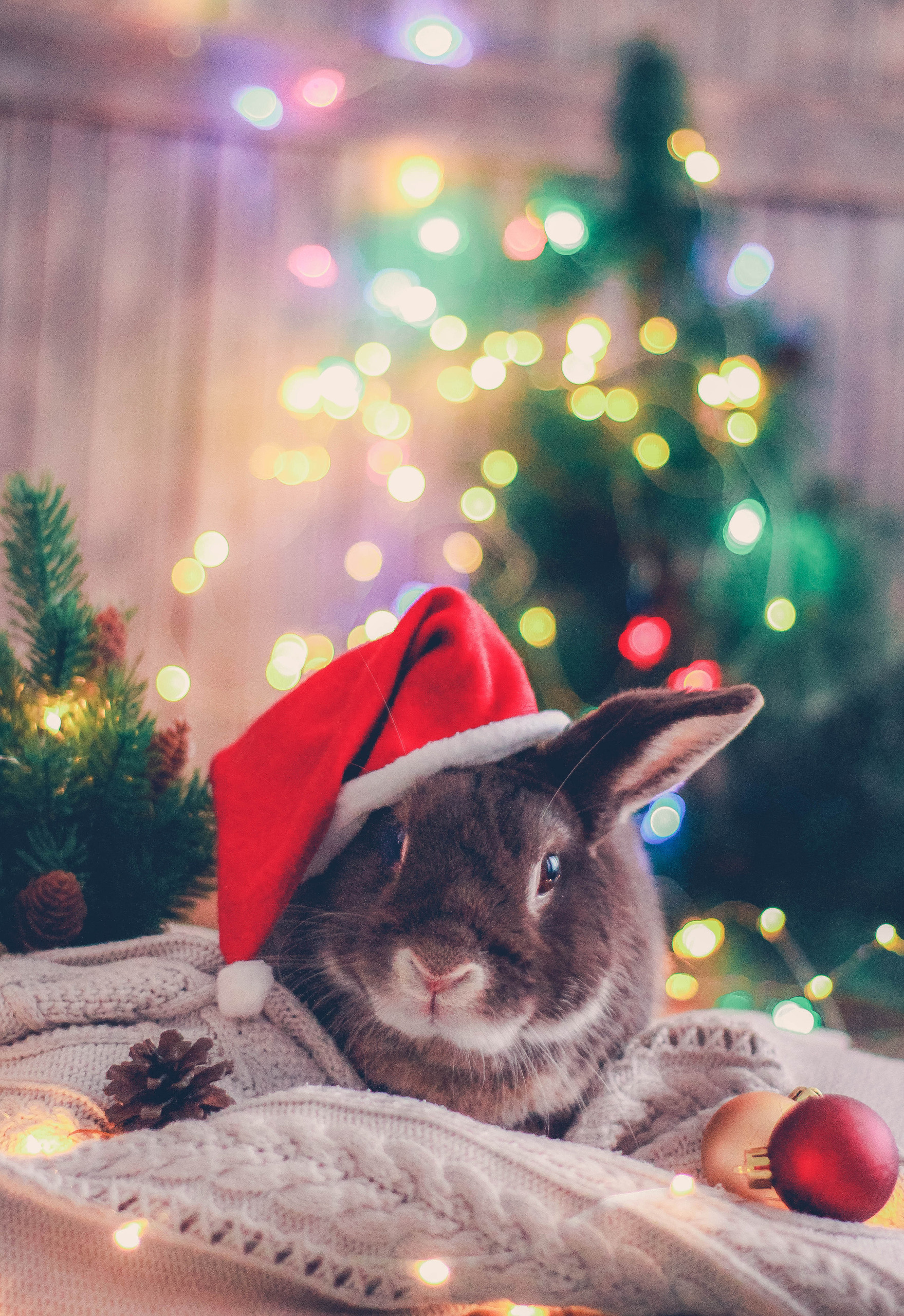 Новый год. Главная