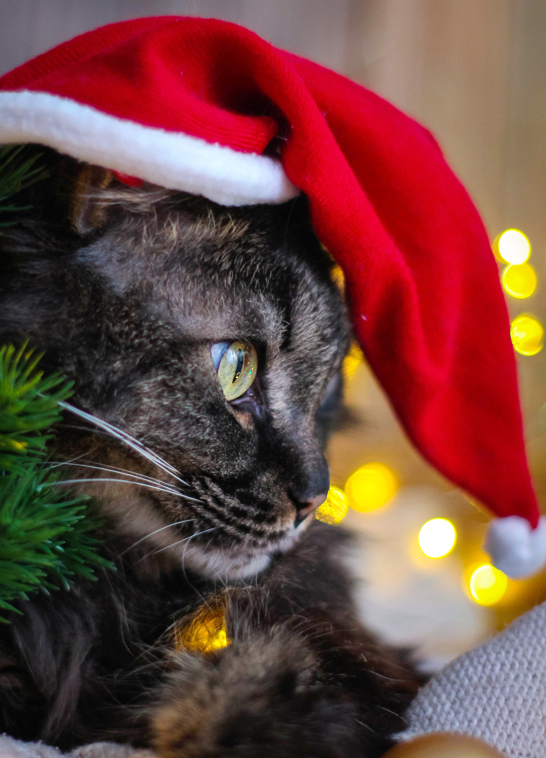 Новый год. Главная