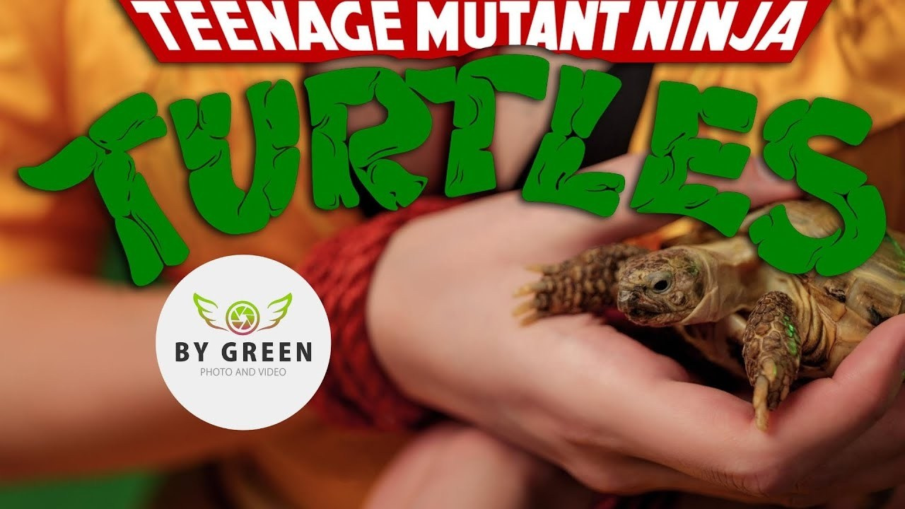 April O'Neil — Teenage Mutant Ninja Turtles. ByGreenOrg и красивые фотографии