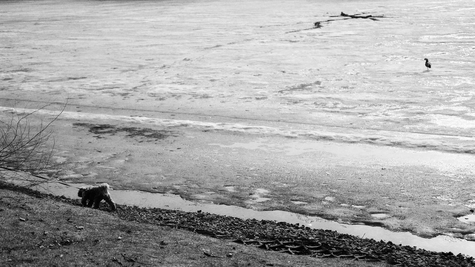 Репортажный и портретный фотограф Василиса Глухова