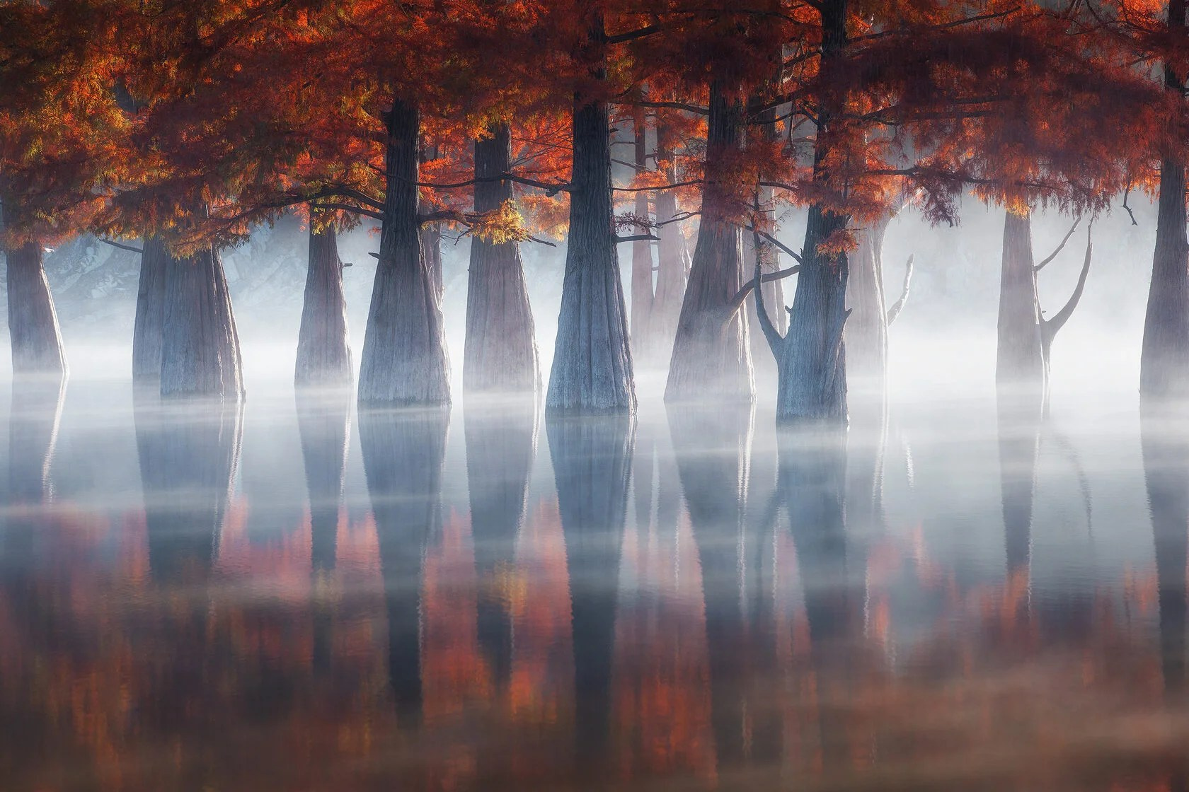 Пейзажный & Timelapse фотограф Роман Любимский