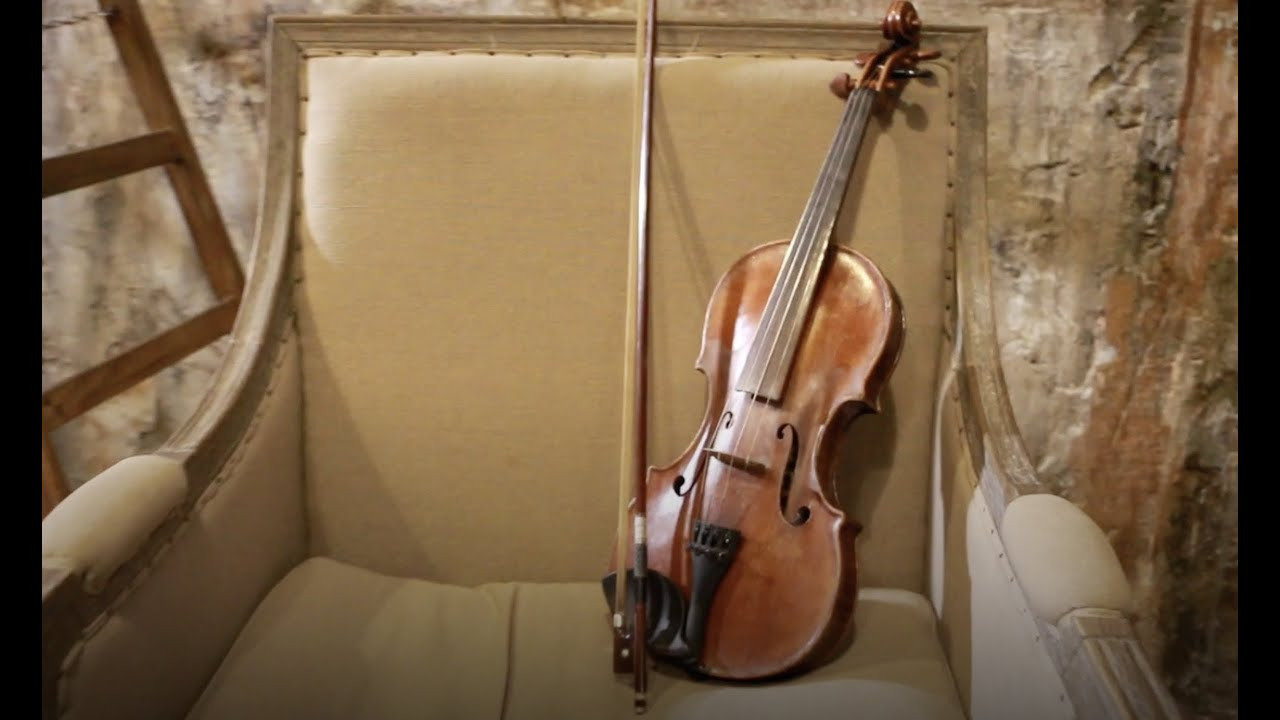 Видео. Свадебные фотографы в Москве: Денис и Елена Пройдовы