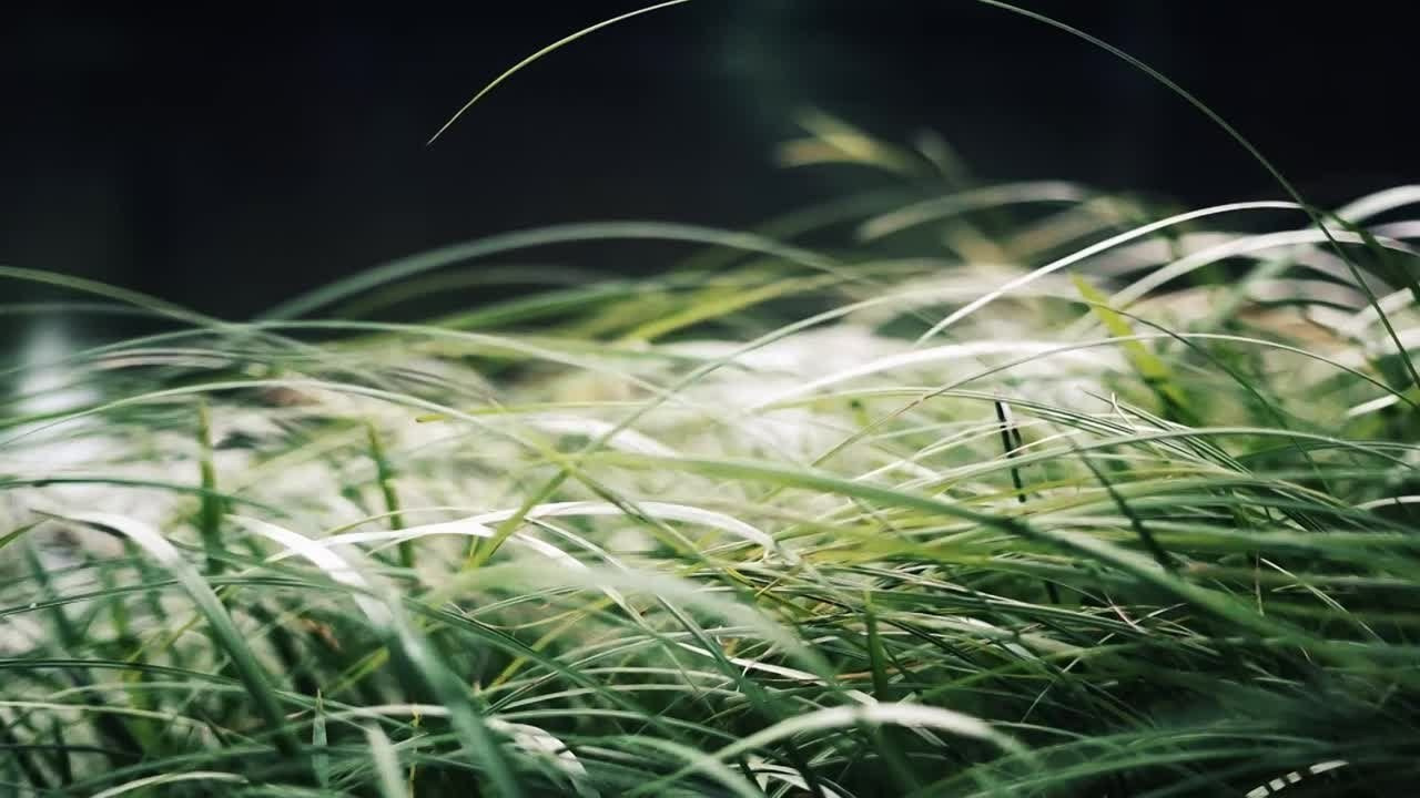 Обо мне. Старкова Кристина фотограф Пермь