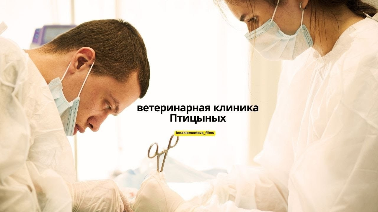 ВИДЕО И МОНТАЖ. Фотограф Казань