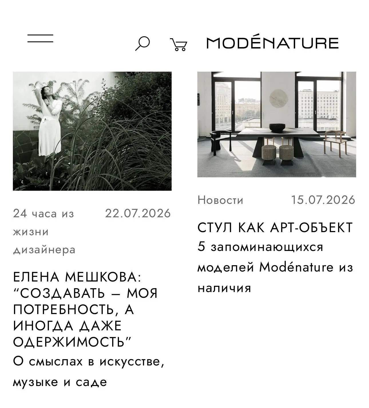 Пресса. ЕЛЕНА МЕШКОВА мультидисциплинарный художник