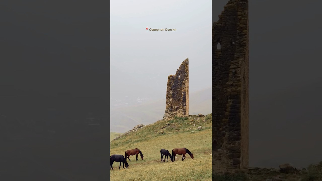 Film. Фотограф и видеограф Елена Хмелевская