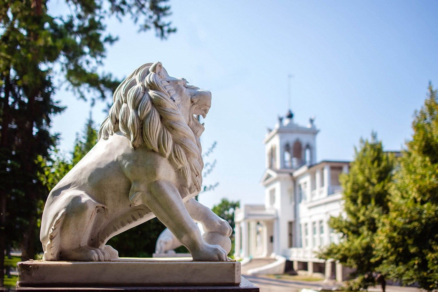 Самара. Маргарита Рубцова свадебный фотограф Тольятти