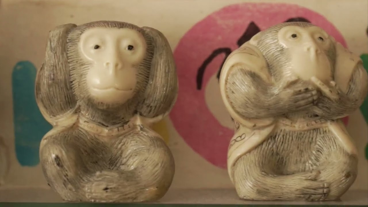 КУРС ПО ВИДЕОСЪЕМКЕ. Ася Краснова