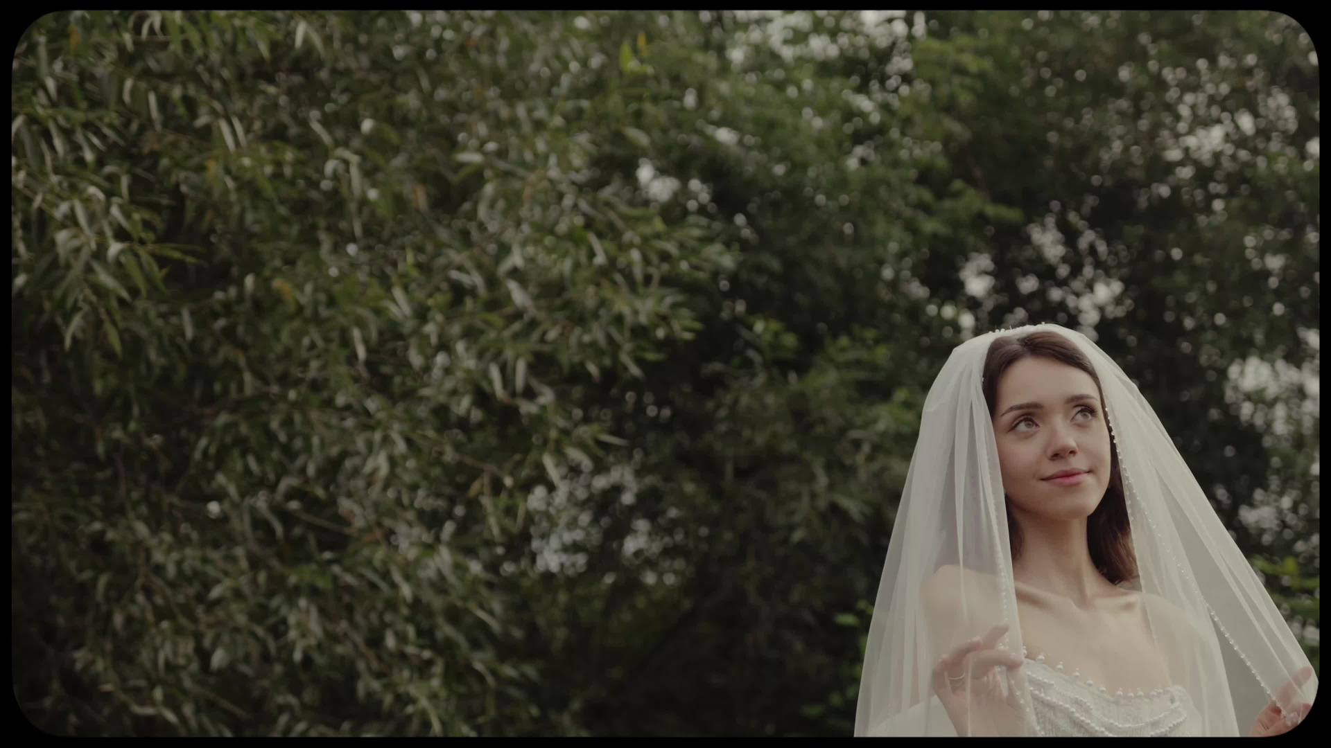 Видеограф Шелухин. Подрядчики и друзья сети свадебных площадок House for wedding