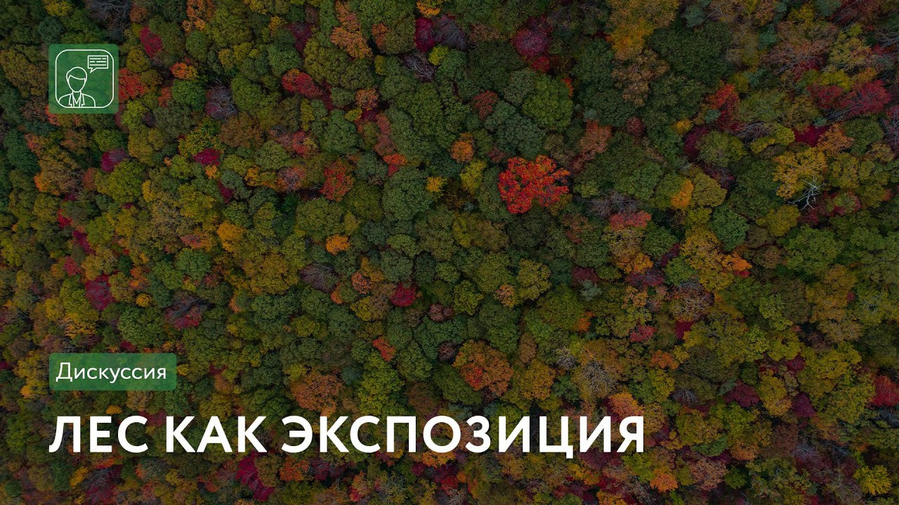 Не похоже на жизнь (2020). Художник. Фотограф