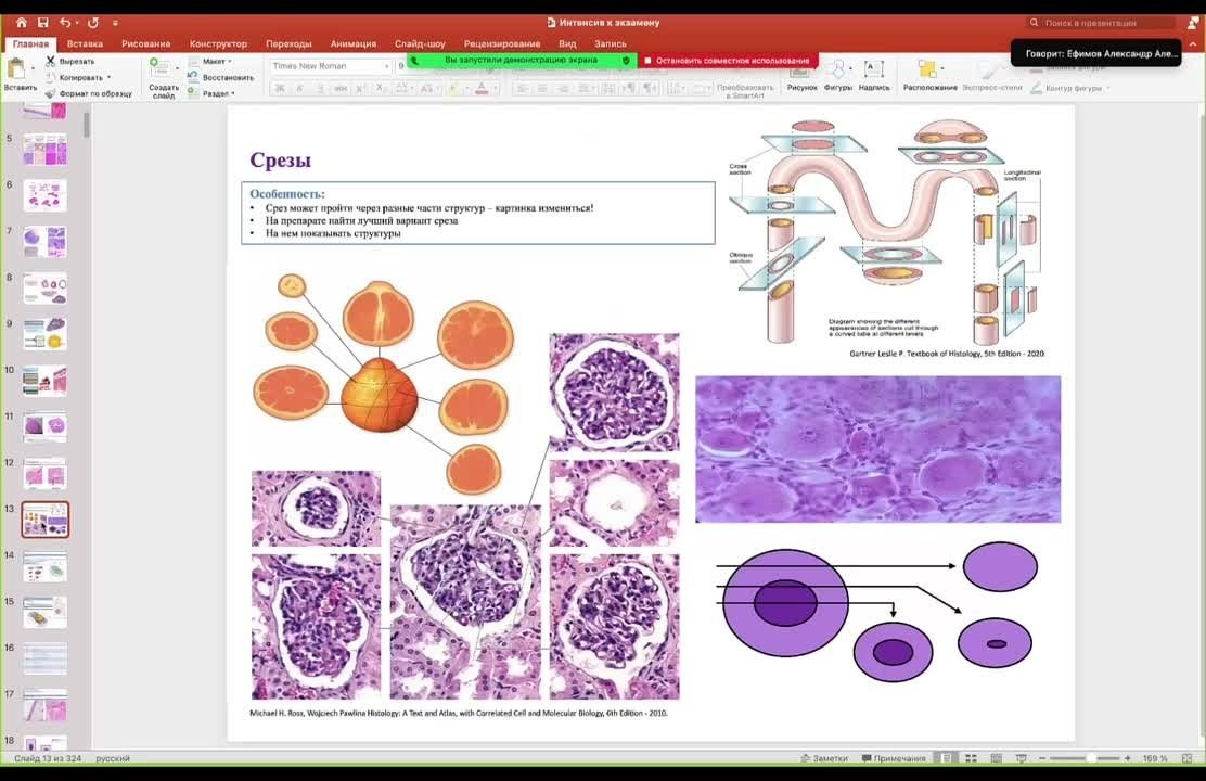 Интенсив, экзамен, гистология, видео-курс. Репетитор по гистологии, патологической анатомии и патофизиологии | KaplanMed