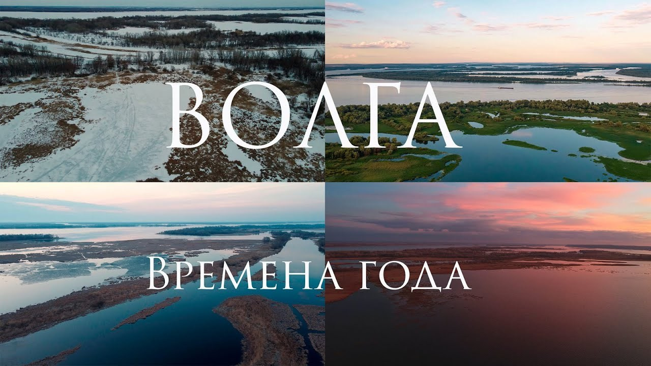 Макс По — фото и видео съемки любого формата