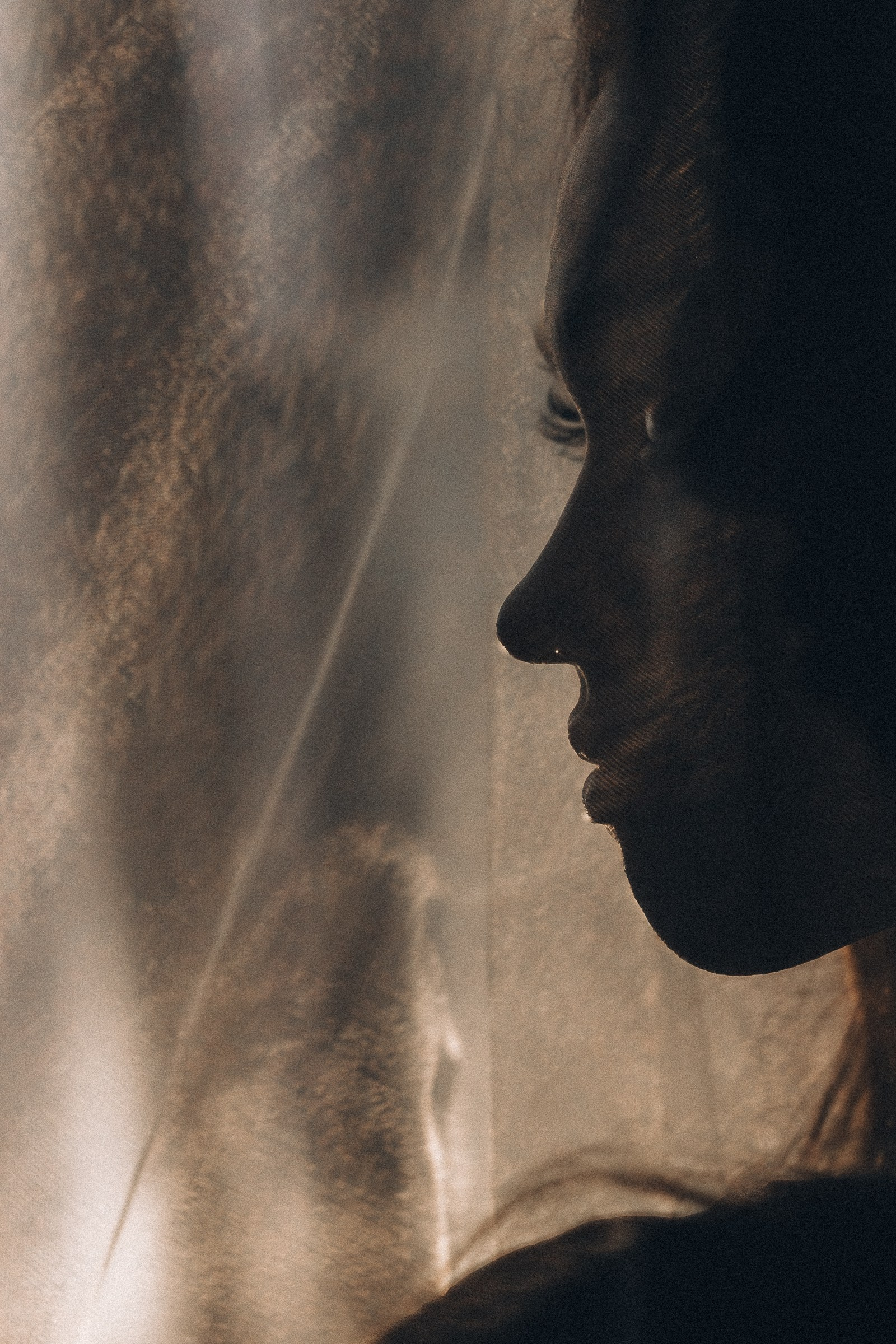 Портрет с костровым светом 