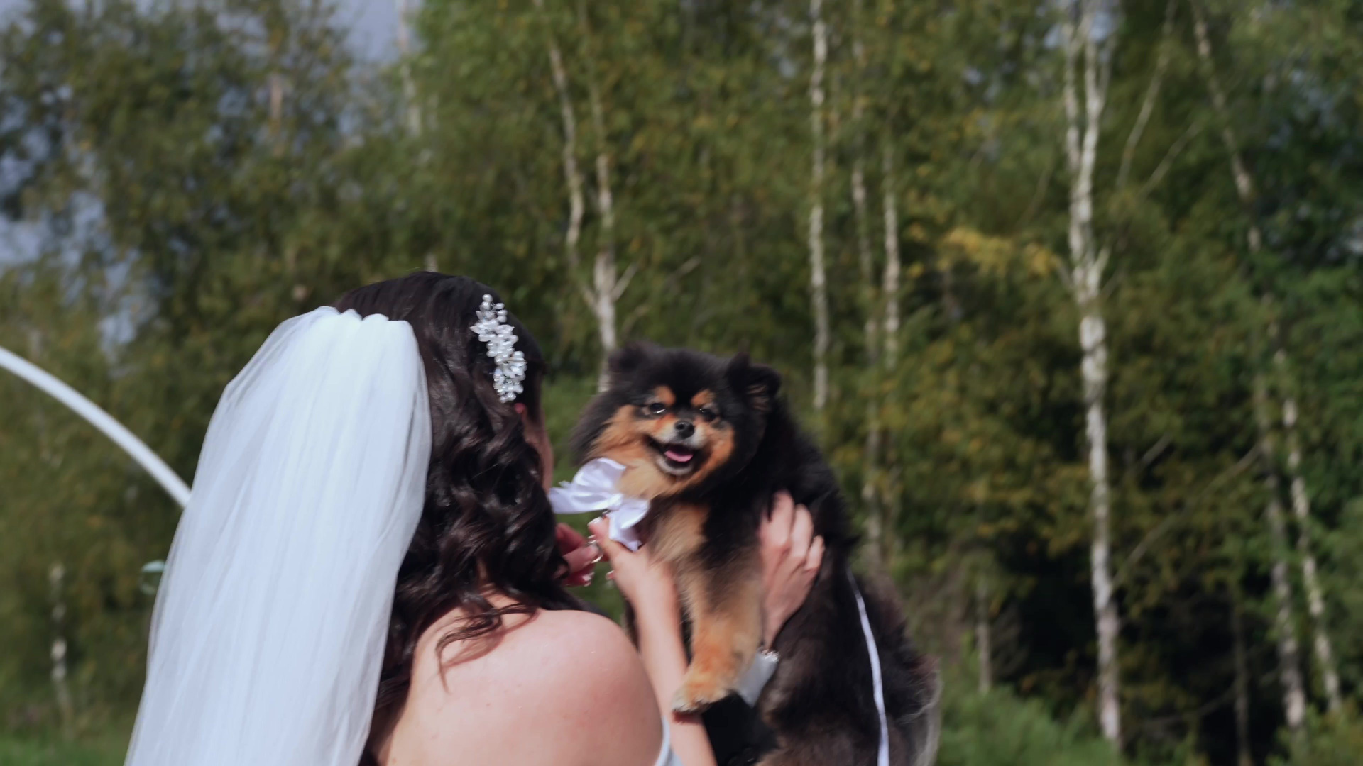 ВИДЕО. Свадебный видеограф Шаталов Владимир