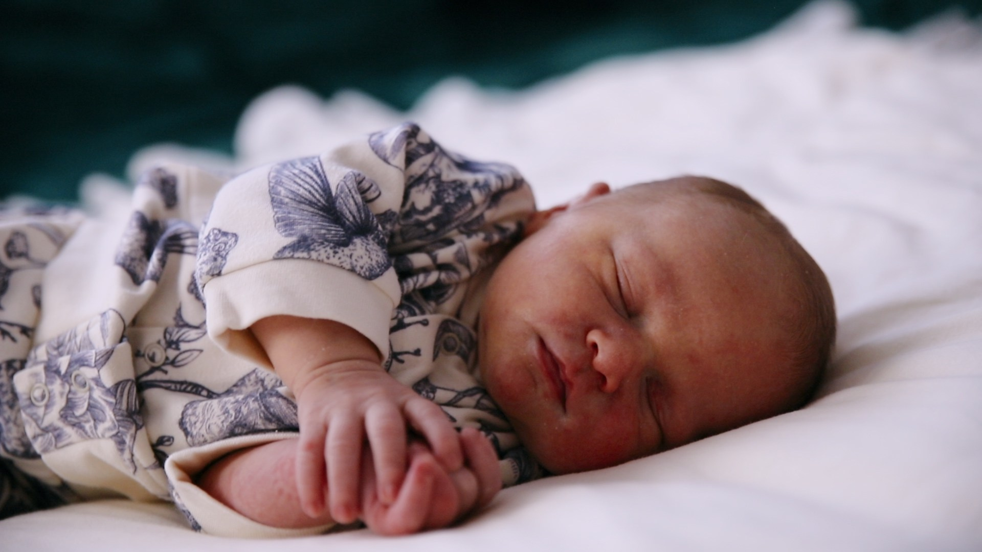 Выписка. Видеосъёмка праздников в Краснодаре