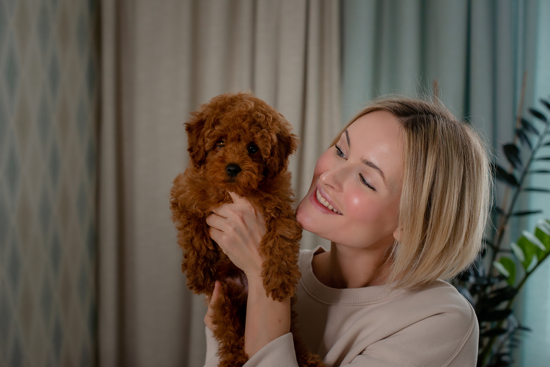 Уютная домашняя фотосессия с карликовым пуделем. Фотограф Диана Одинцова в Волгограде