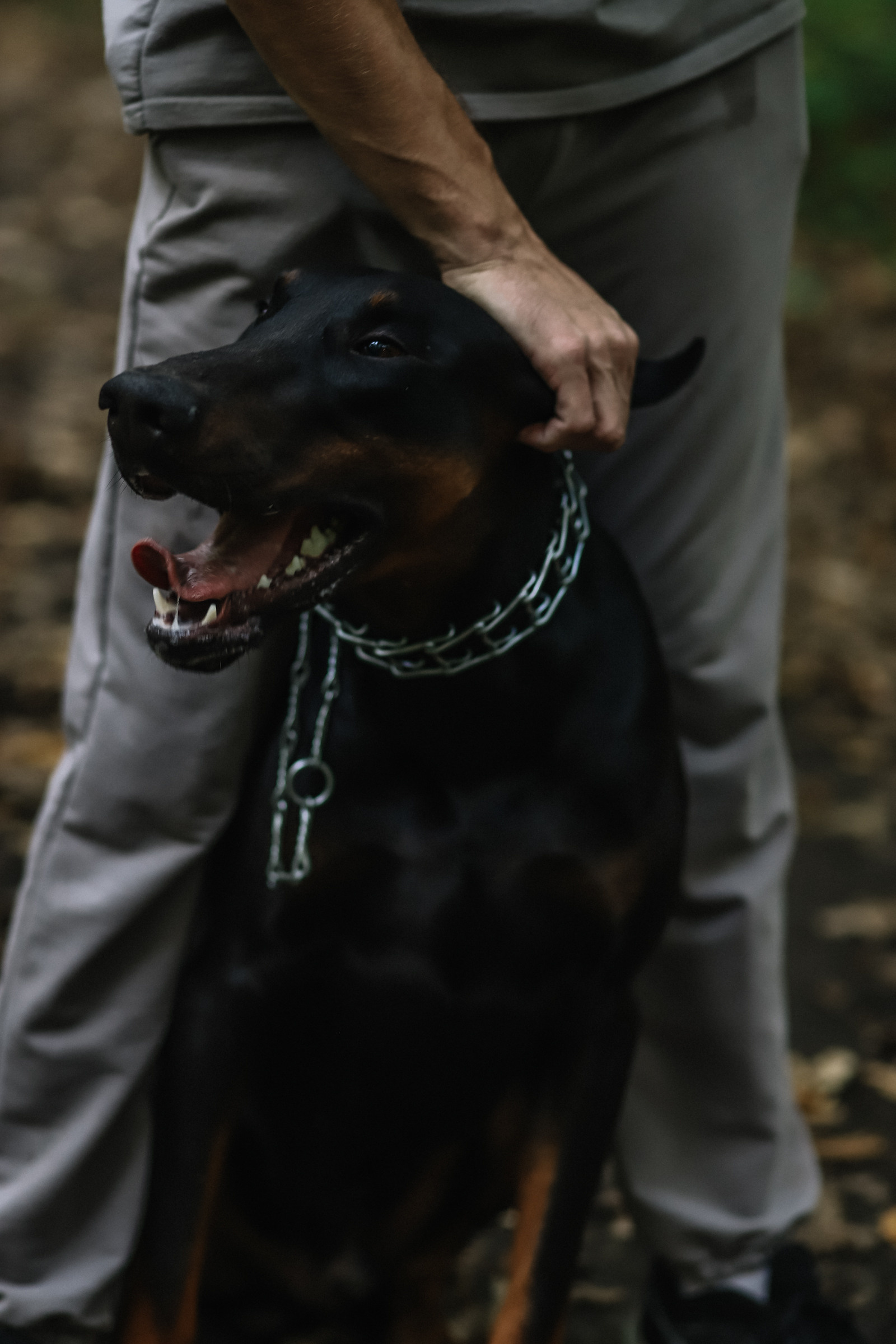 Индивидуальная фотосессия. Фотограф Сочи